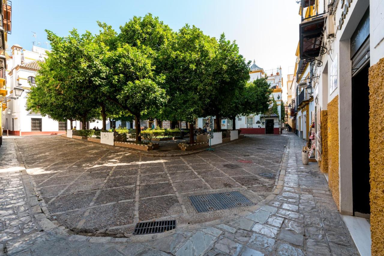 Dona Elvira Cathedral * Seville